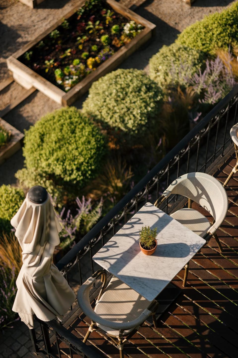 Quinta de S.Bernardo - Winery & Farmhouse Farm Stay in Porto District