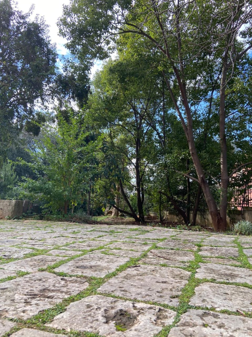 B&B Ippocastano Vacation rental in Apulia