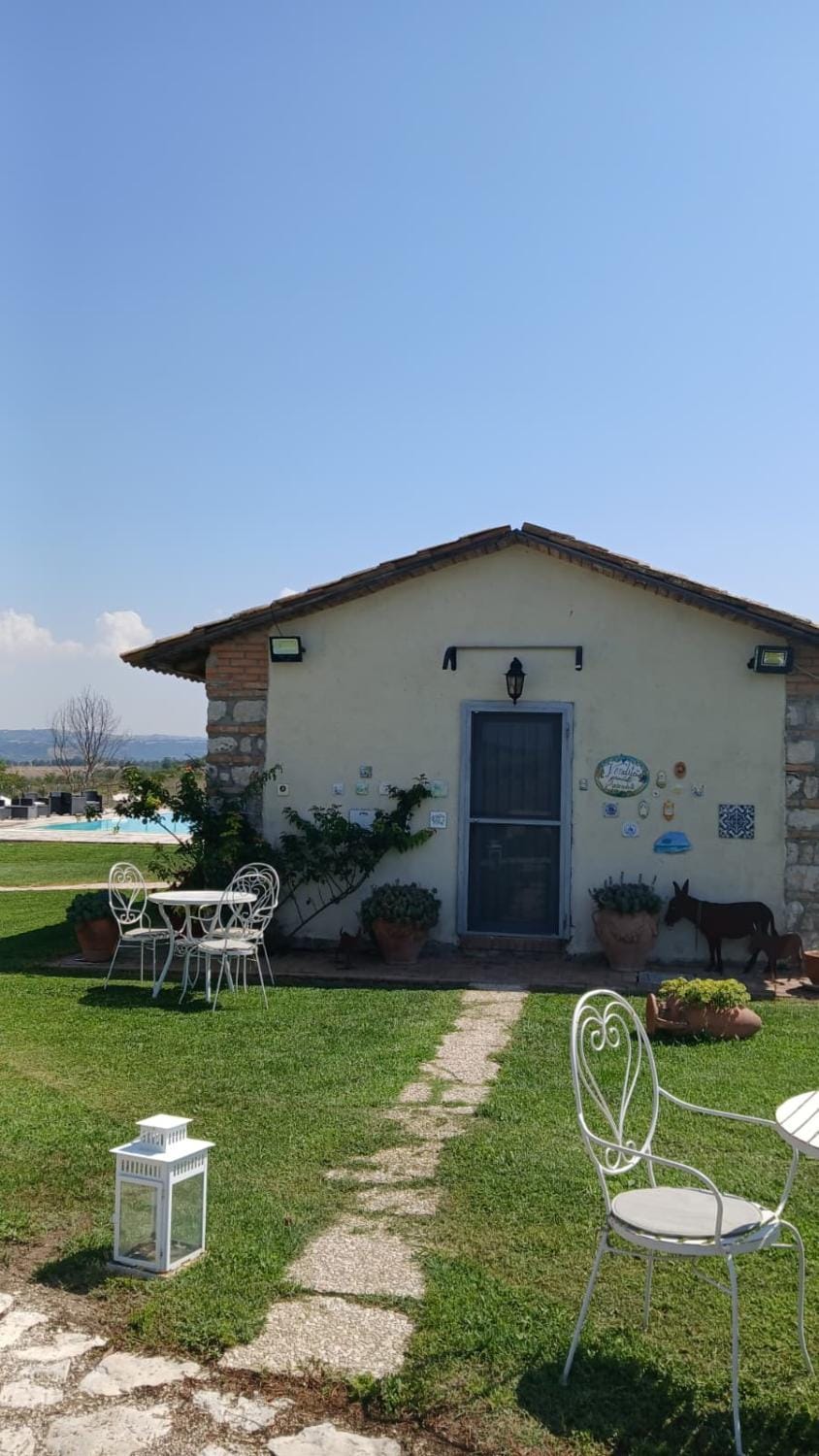 Property building, Garden, Swimming pool