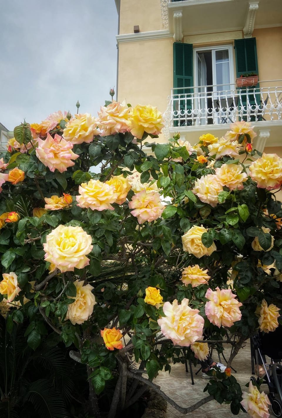Garden, Garden view