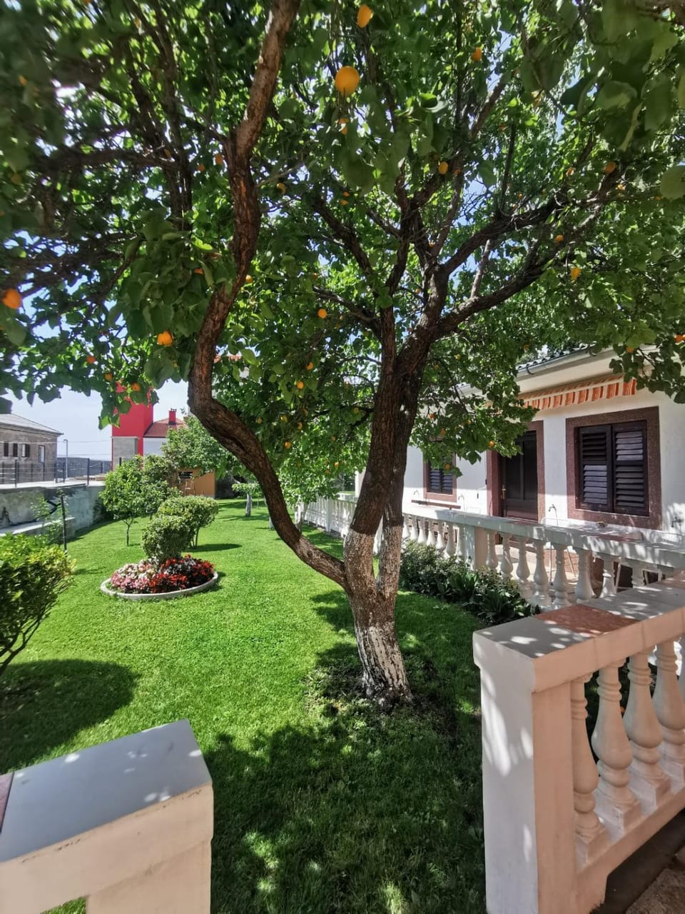 Property building, Garden, Garden view