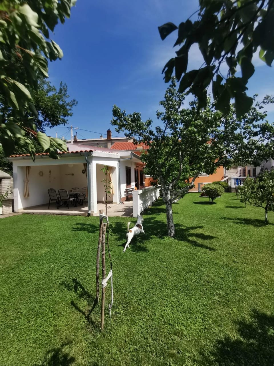 Property building, Garden