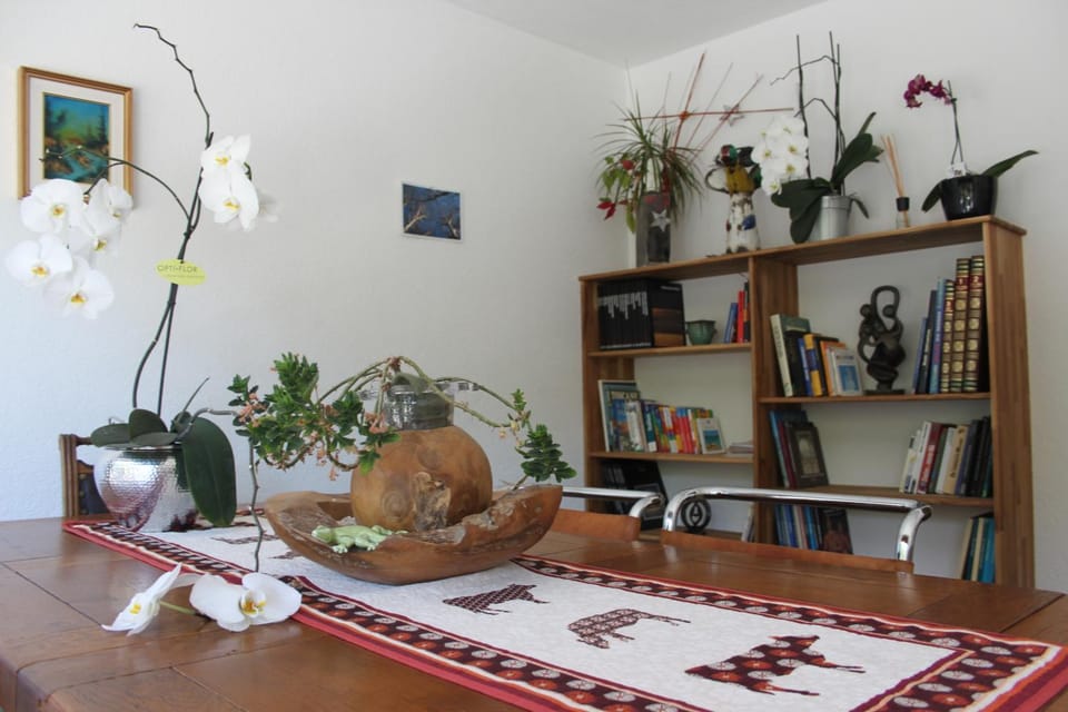 Library, Living room, Seating area