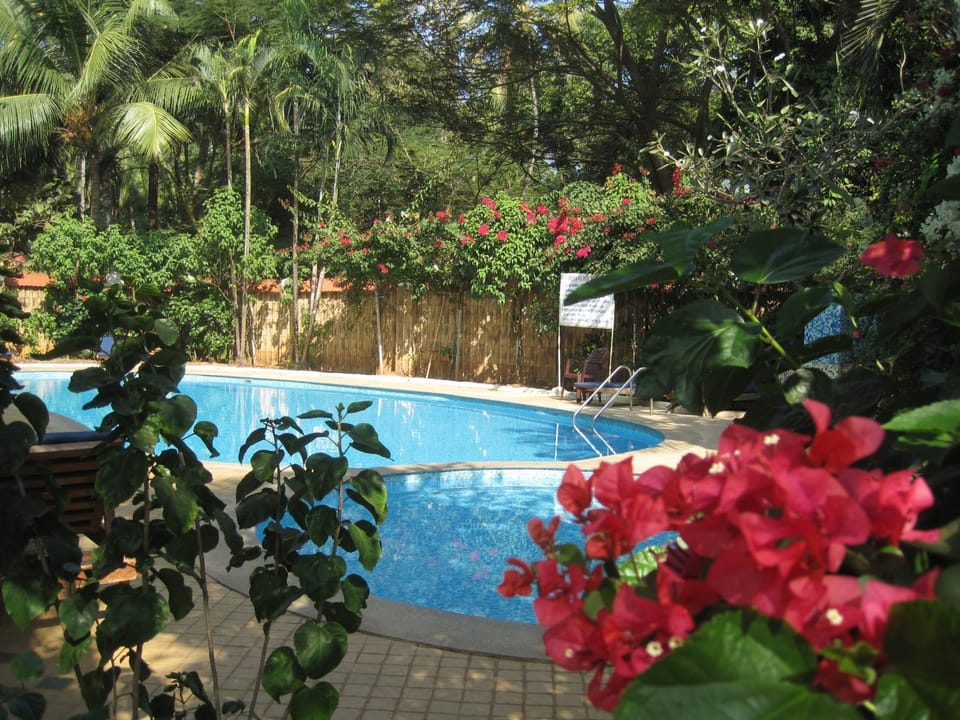 Swimming pool, Swimming pool