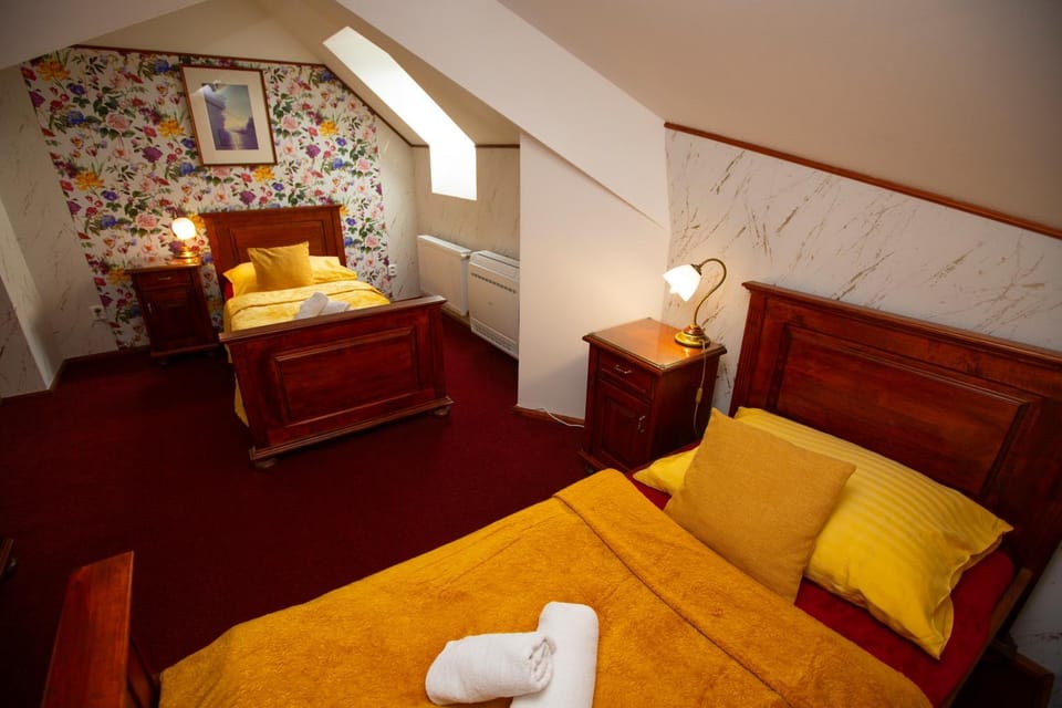 Hotel Paříž Hotel in Czechia