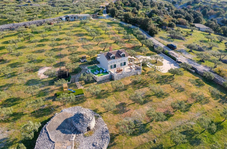 Bird's eye view, Summer, Garden view