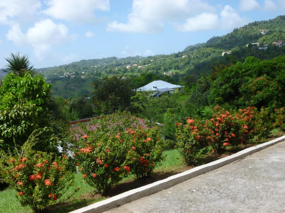 Lake view, Mountain view, Street view