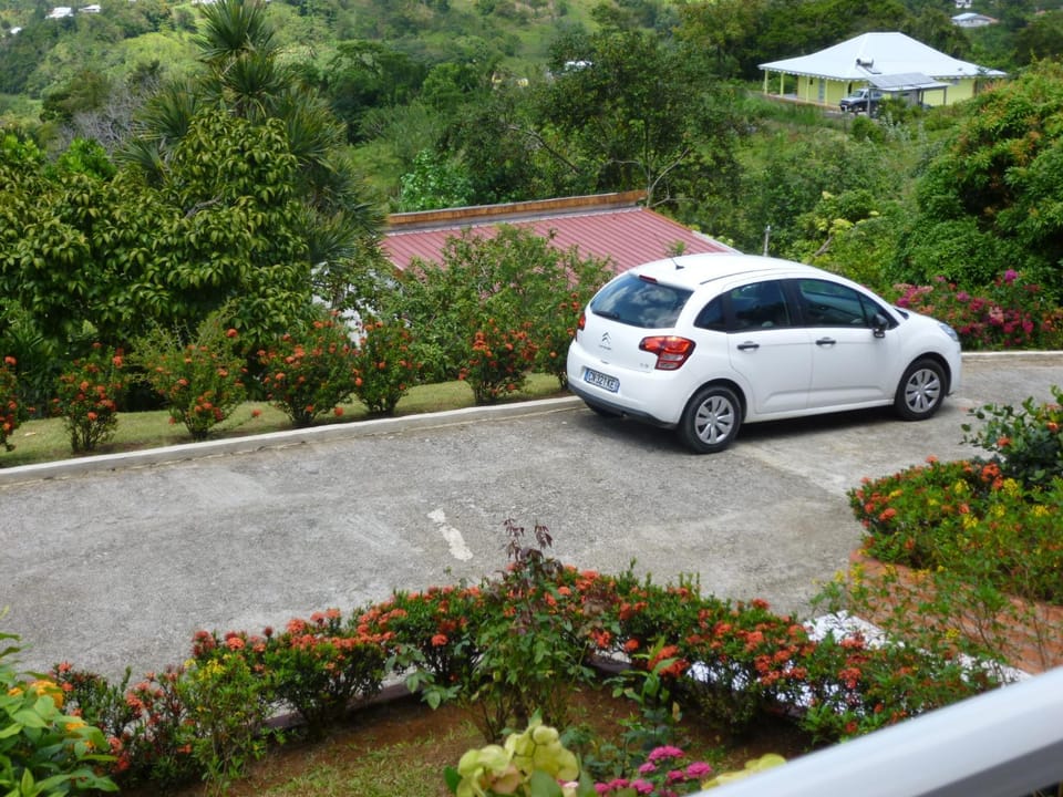 Garden, Mountain view