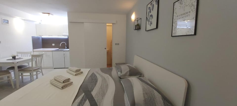 Studio Apartments Igor Apartment in Istria County