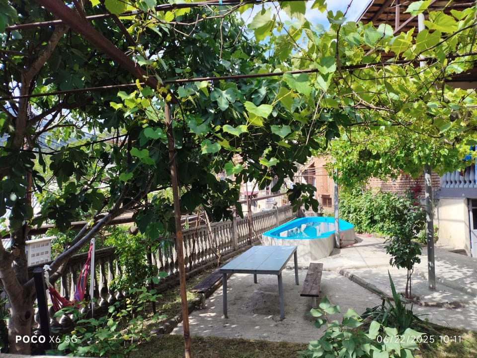 Shota's Guest House Bed and Breakfast in Georgia