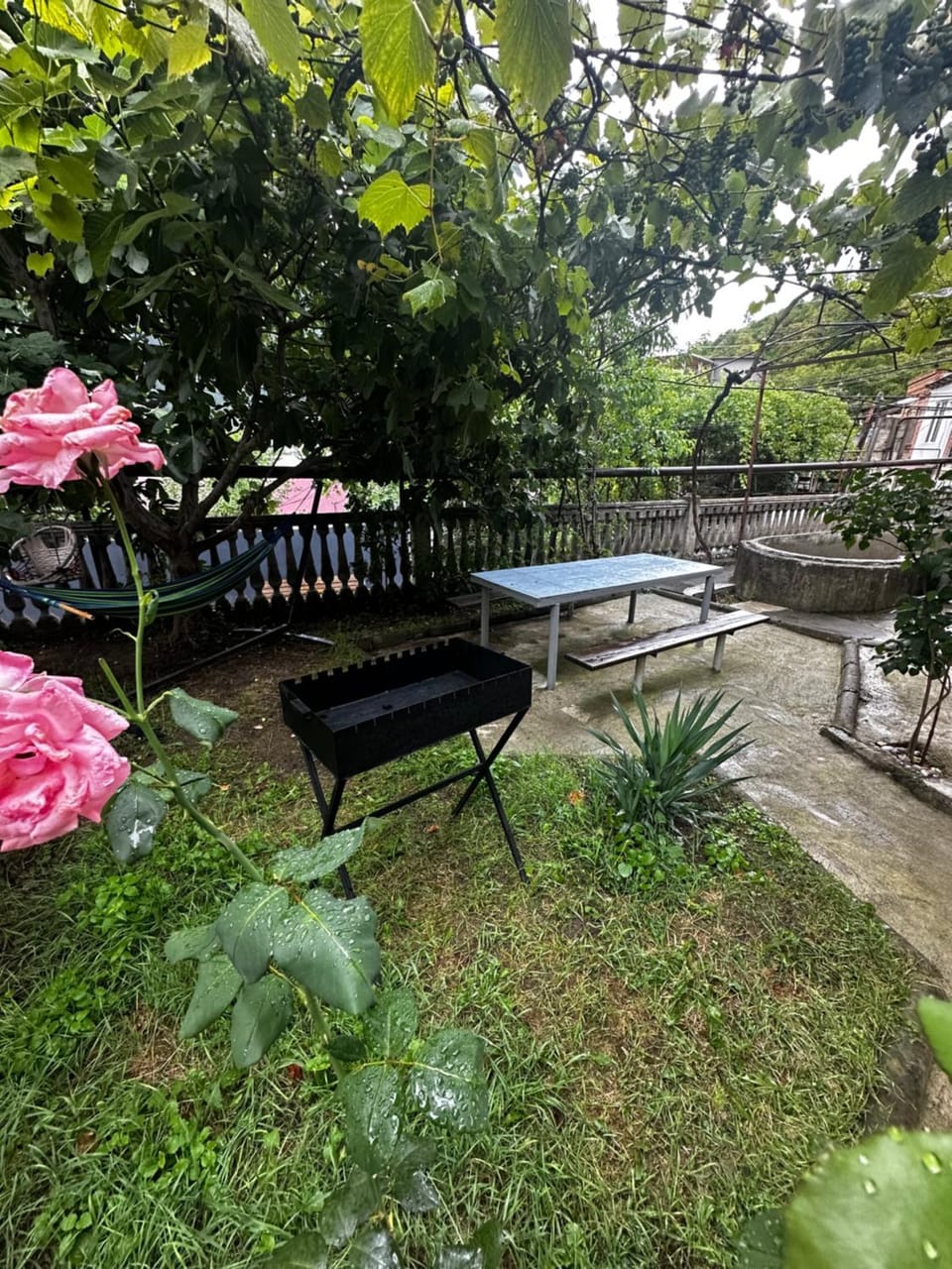 Shota's Guest House Bed and Breakfast in Georgia