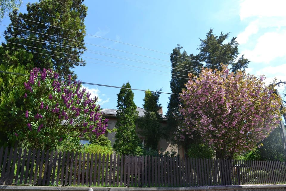 Property building, Natural landscape