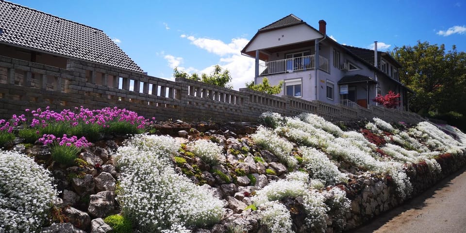 Szabó Vendégház Bed and Breakfast in Hungary