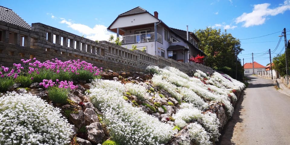 Szabó Vendégház Bed and Breakfast in Hungary
