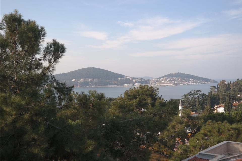 View (from property/room)