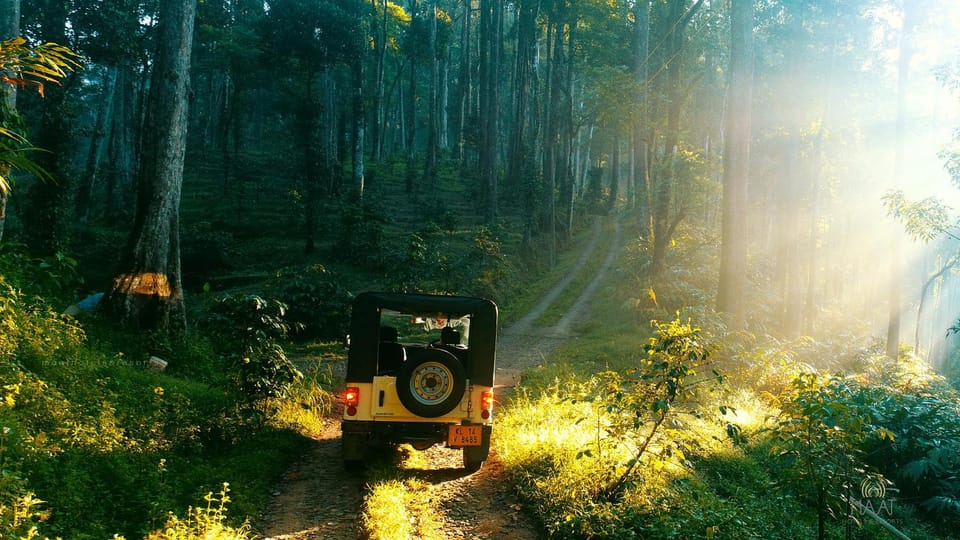 Natural landscape