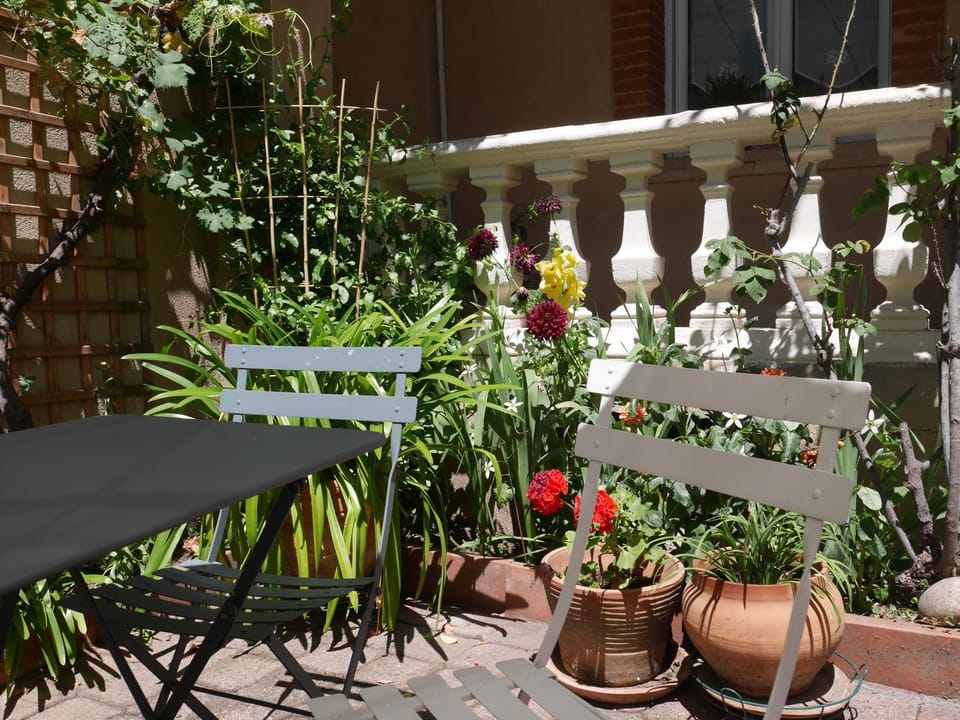 Garden view