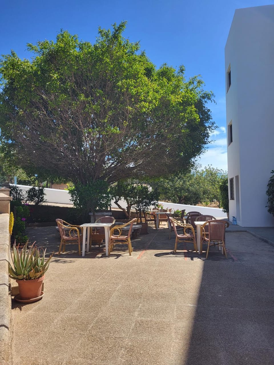 Patio, Spring, Day