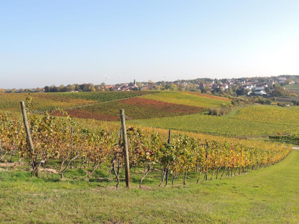 Natural landscape