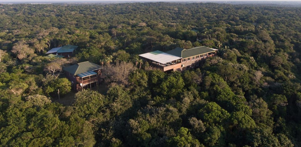 Restaurant/places to eat, Bird's eye view