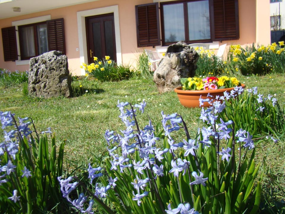 Garden, Balcony/Terrace