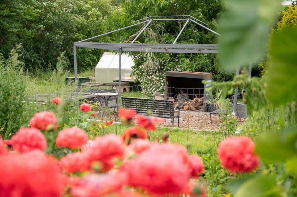 Garden view, flat iron