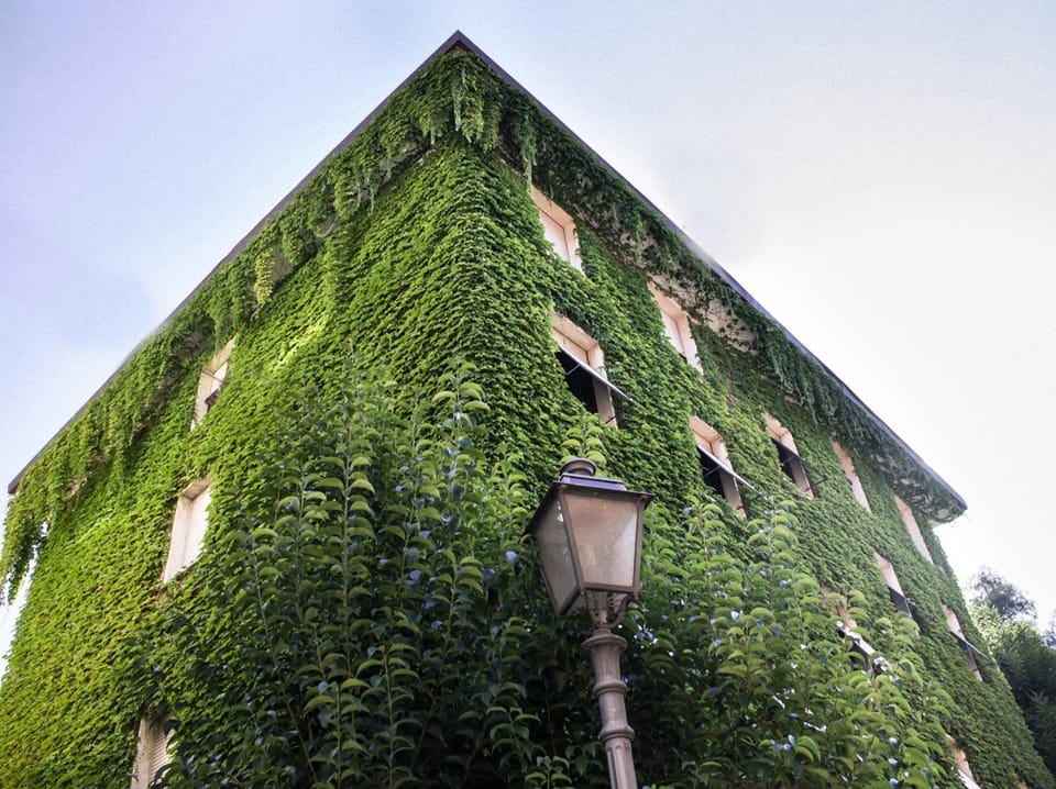 Facade/entrance, Bird's eye view