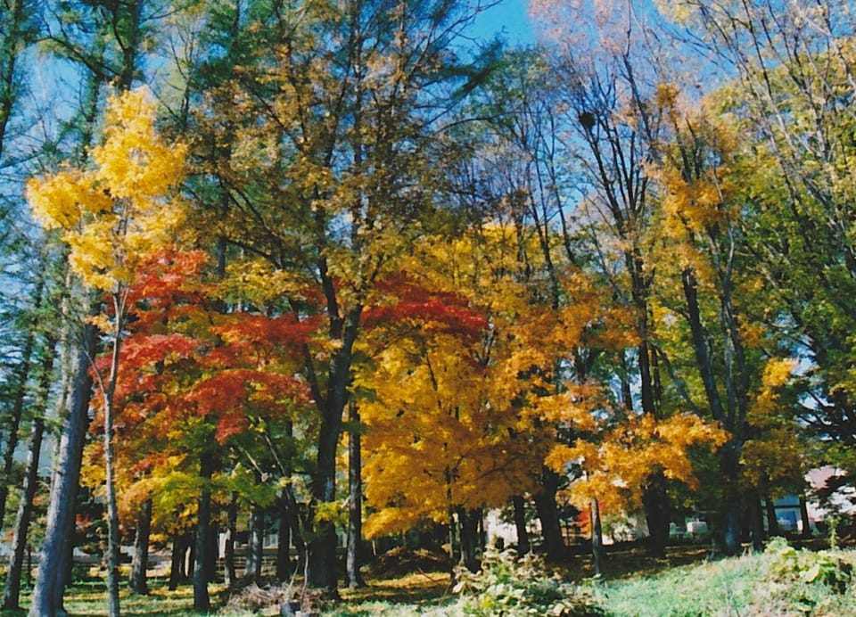 Bathroom, Autumn