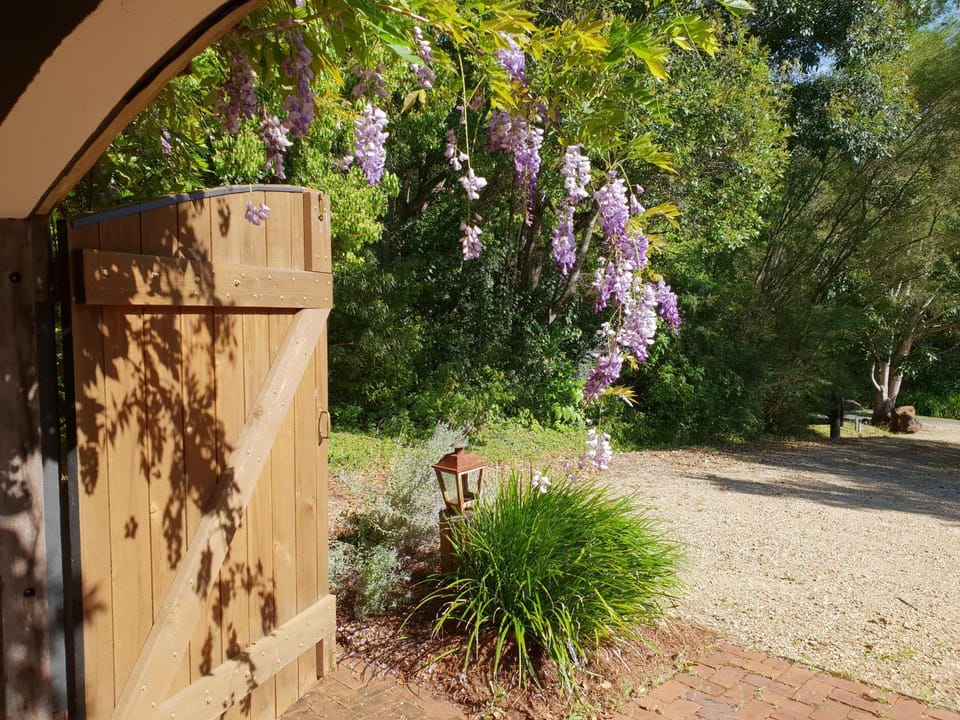Spring, Garden view