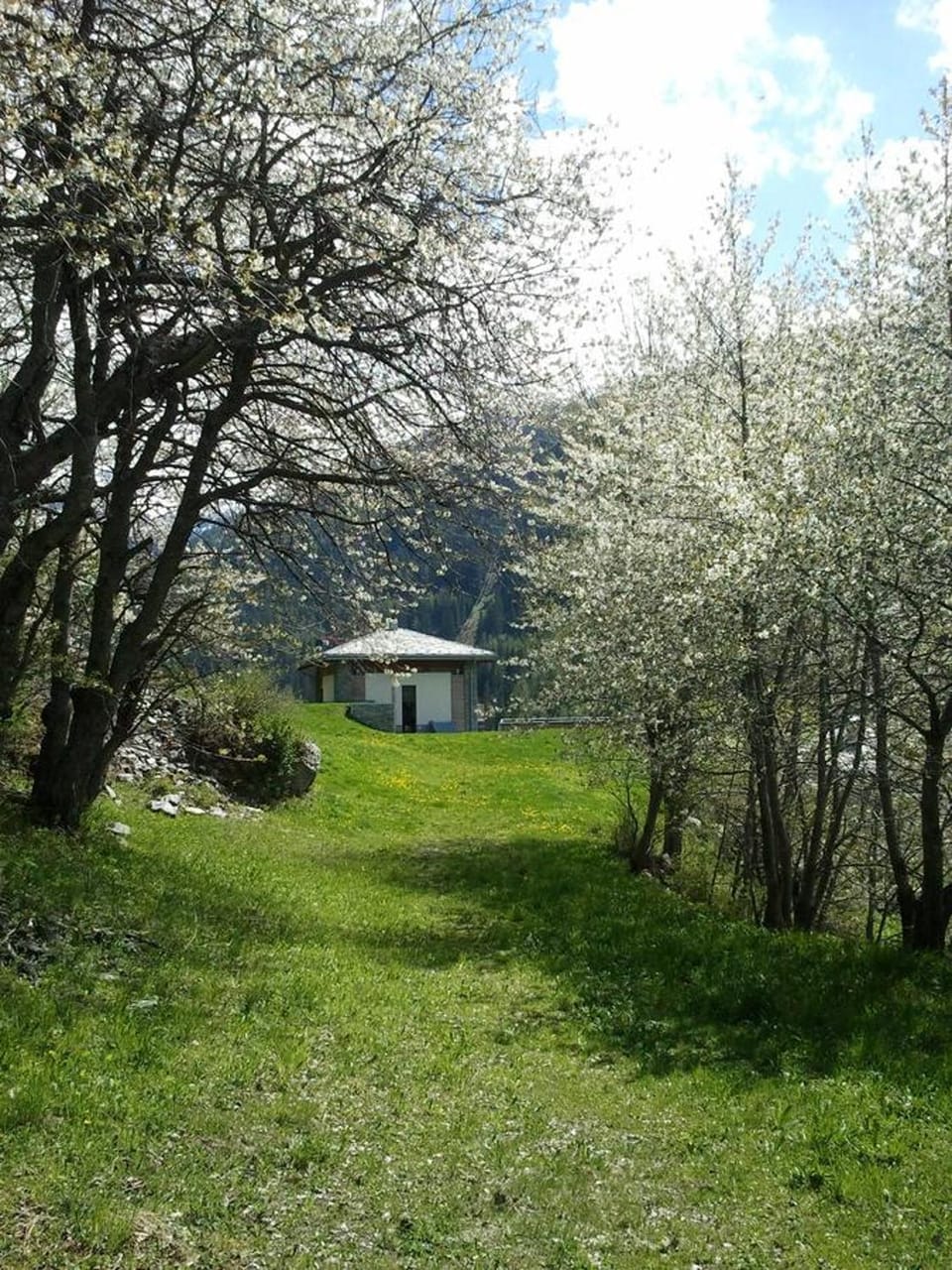Spring