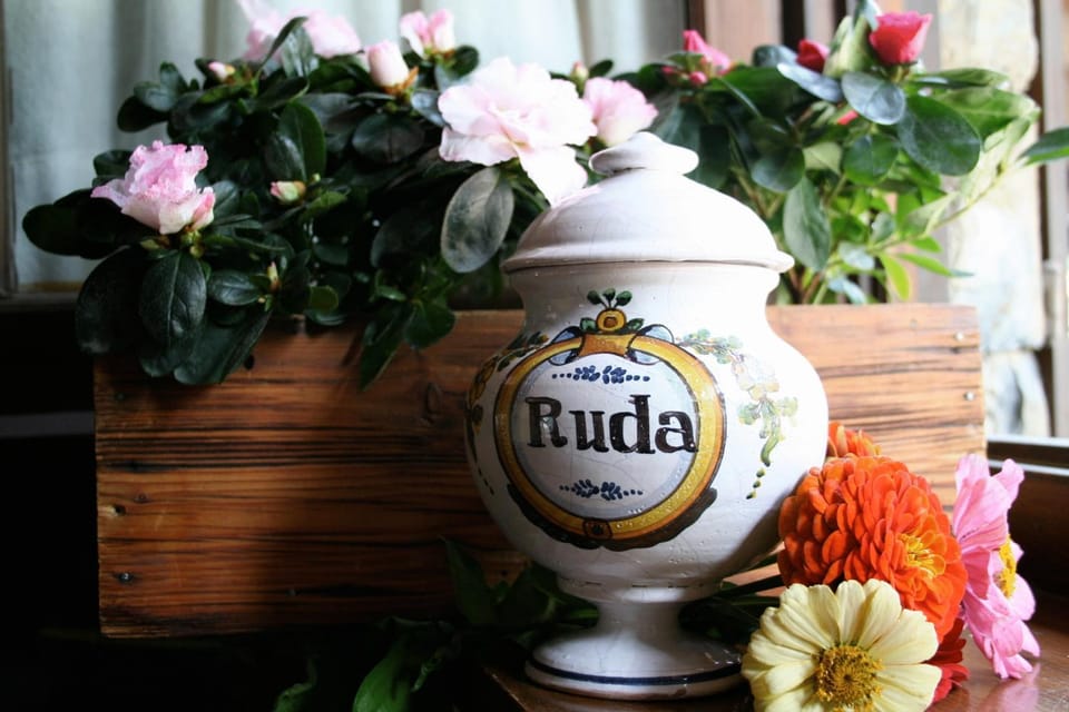 Hotel Val de Ruda Hotel in Baqueira