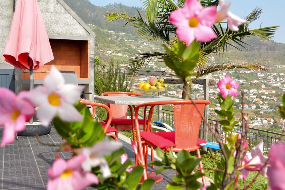 Garden, Balcony/Terrace