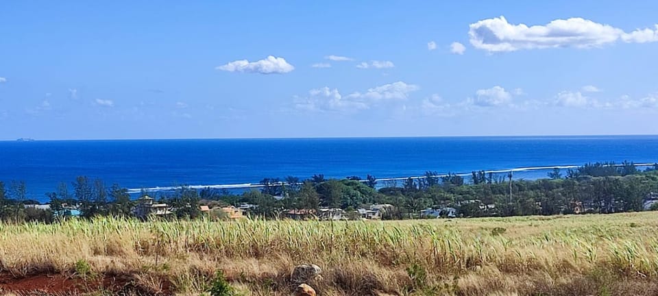 Natural landscape