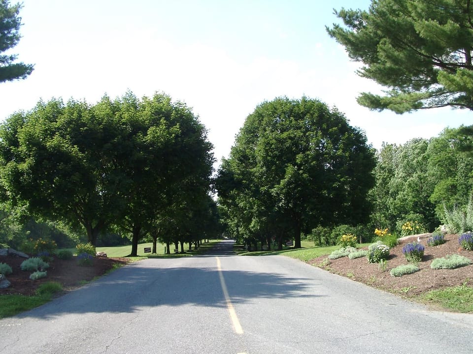 Neighbourhood