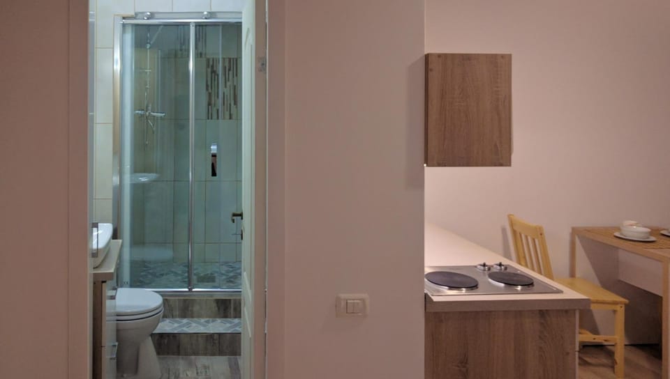Shower, Toilet, Night, Summer, Bathroom, Coffee/tea facilities, Kitchen or kitchenette, Photo of the whole room, Decorative detail, Dining area, On site