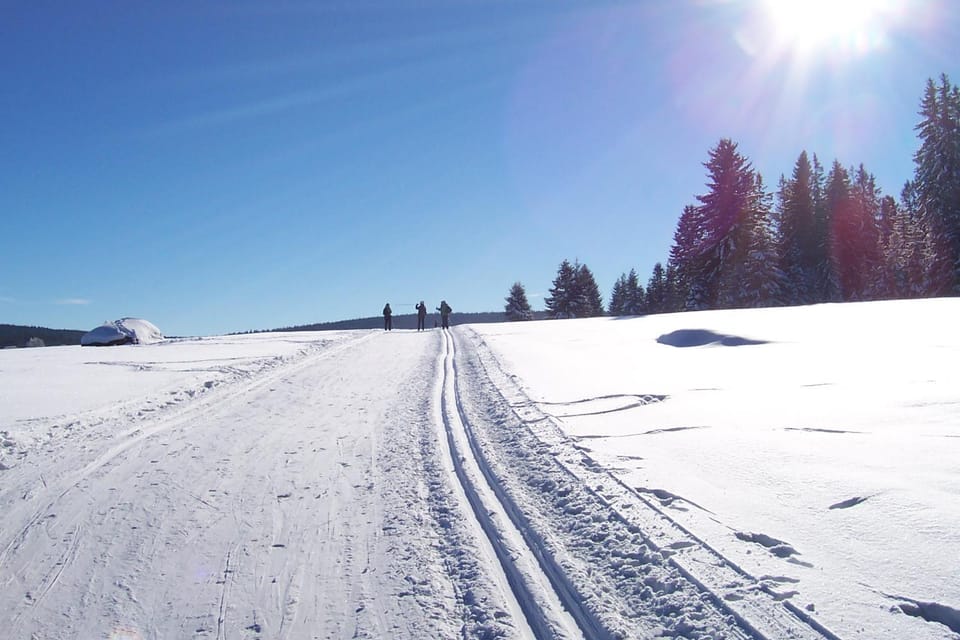 Skiing
