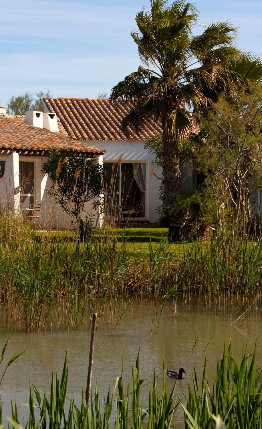 Facade/entrance, Garden, Balcony/Terrace