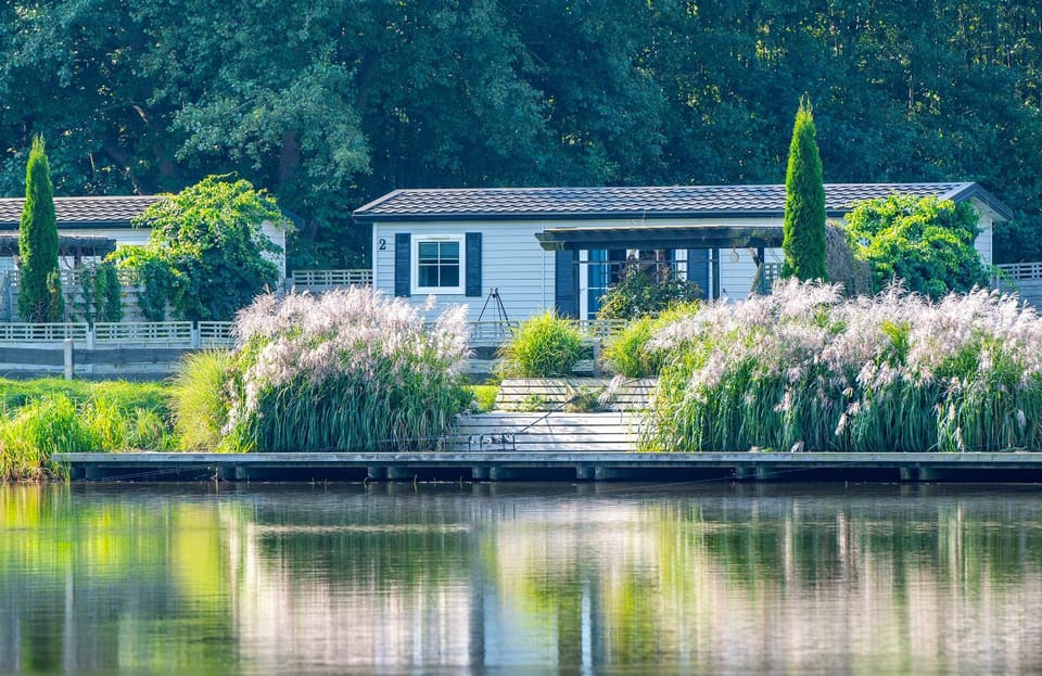 Natural landscape, Garden, Garden view