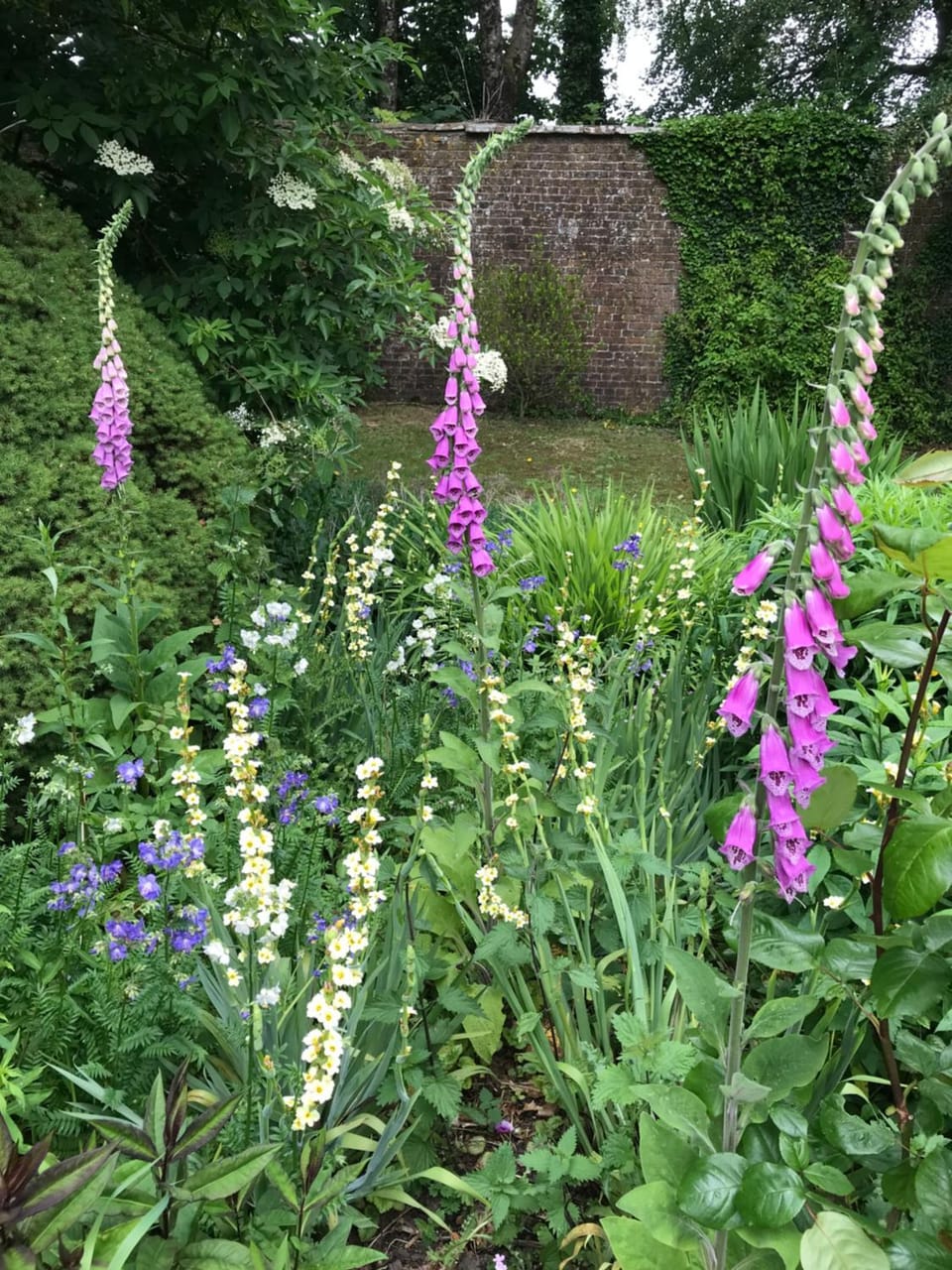 The Potting Shed Apartment in North Devon District