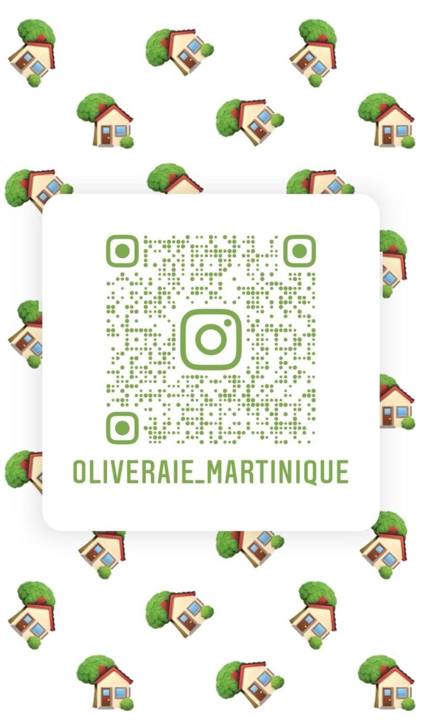 L'Oliveraie Bed and Breakfast in Fort-de-France