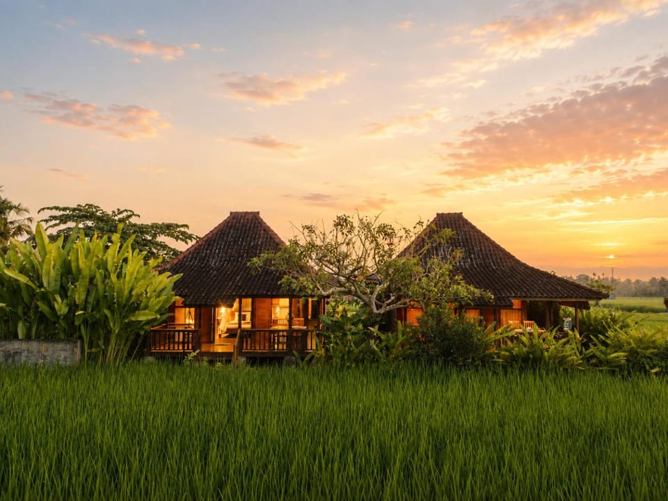 Property building, Day, Natural landscape, Garden, Garden view, Sunrise, Sunset