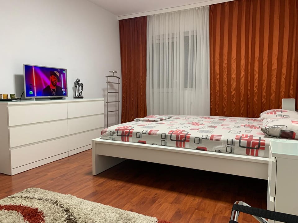 Ana Center Apartment Apartment in Romania