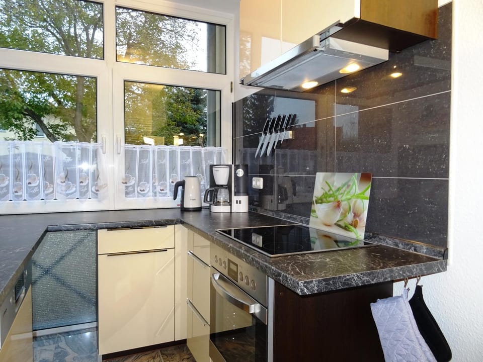 Kitchen or kitchenette, Photo of the whole room, Decorative detail