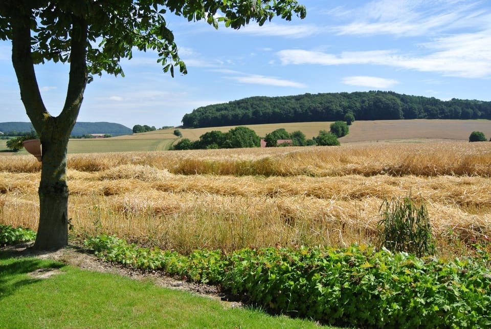 Natural landscape
