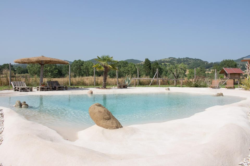 Swimming pool, Swimming pool