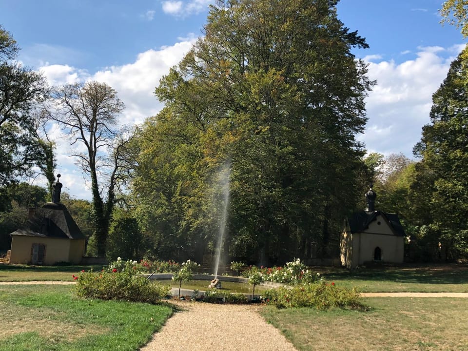Chateau de Moison, Domaine Eco Nature Bed and Breakfast in Centre-Val de Loire