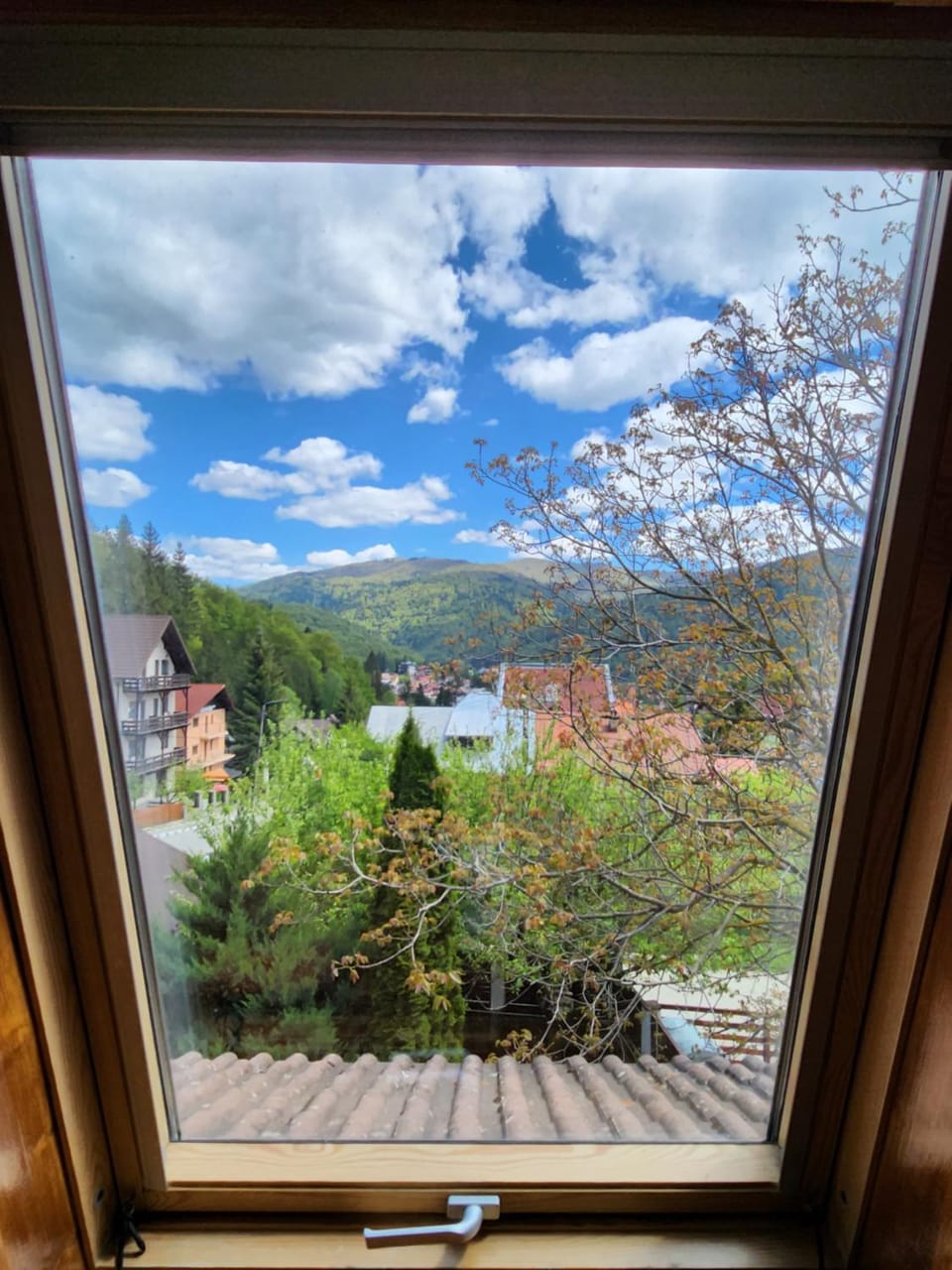 View (from property/room)