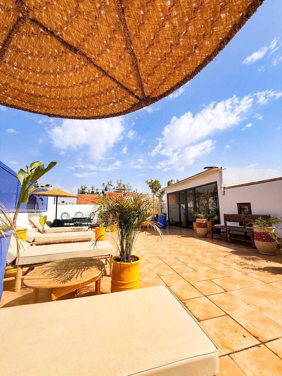 Patio, sunbed