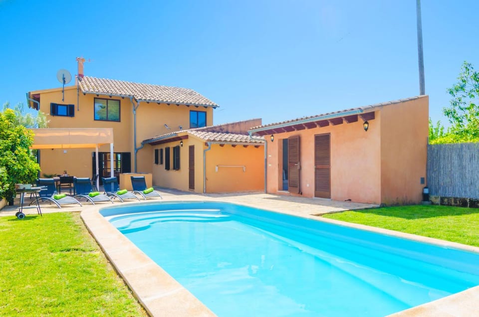 Garden, Swimming pool