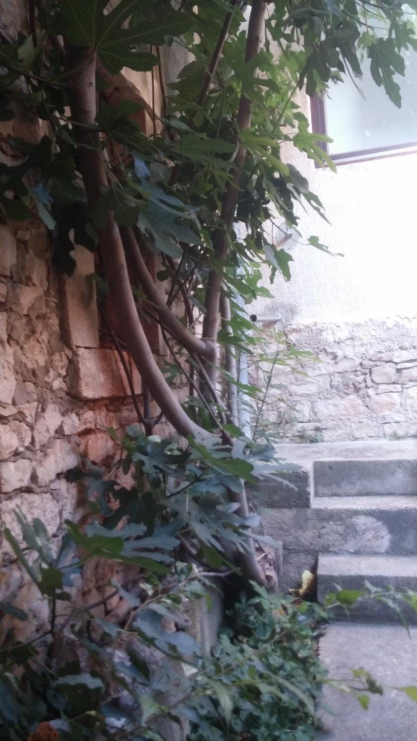Day, Natural landscape, Summer, BBQ facilities, Garden, View (from property/room), Balcony/Terrace, Other, Other, Seating area, On site, Garden view, Inner courtyard view
